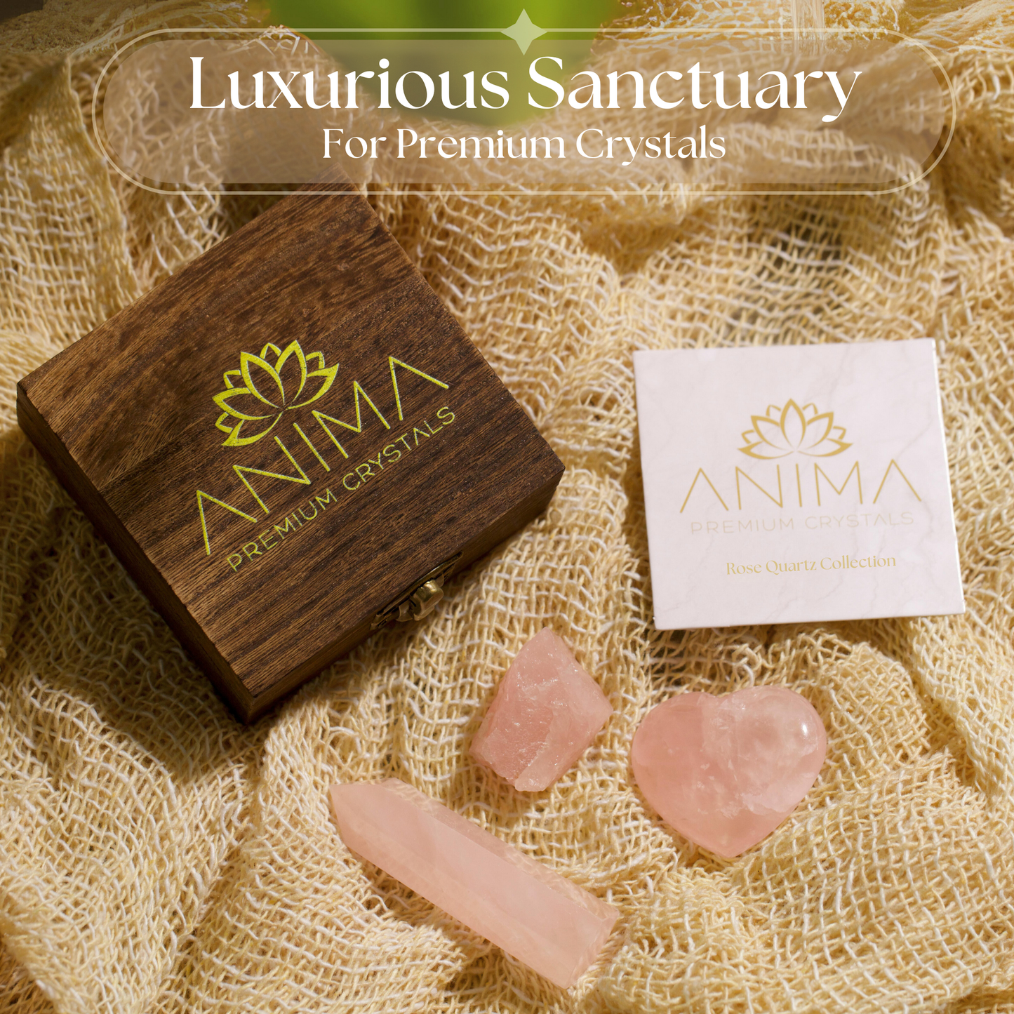 Rose Quartz Crystal Collection