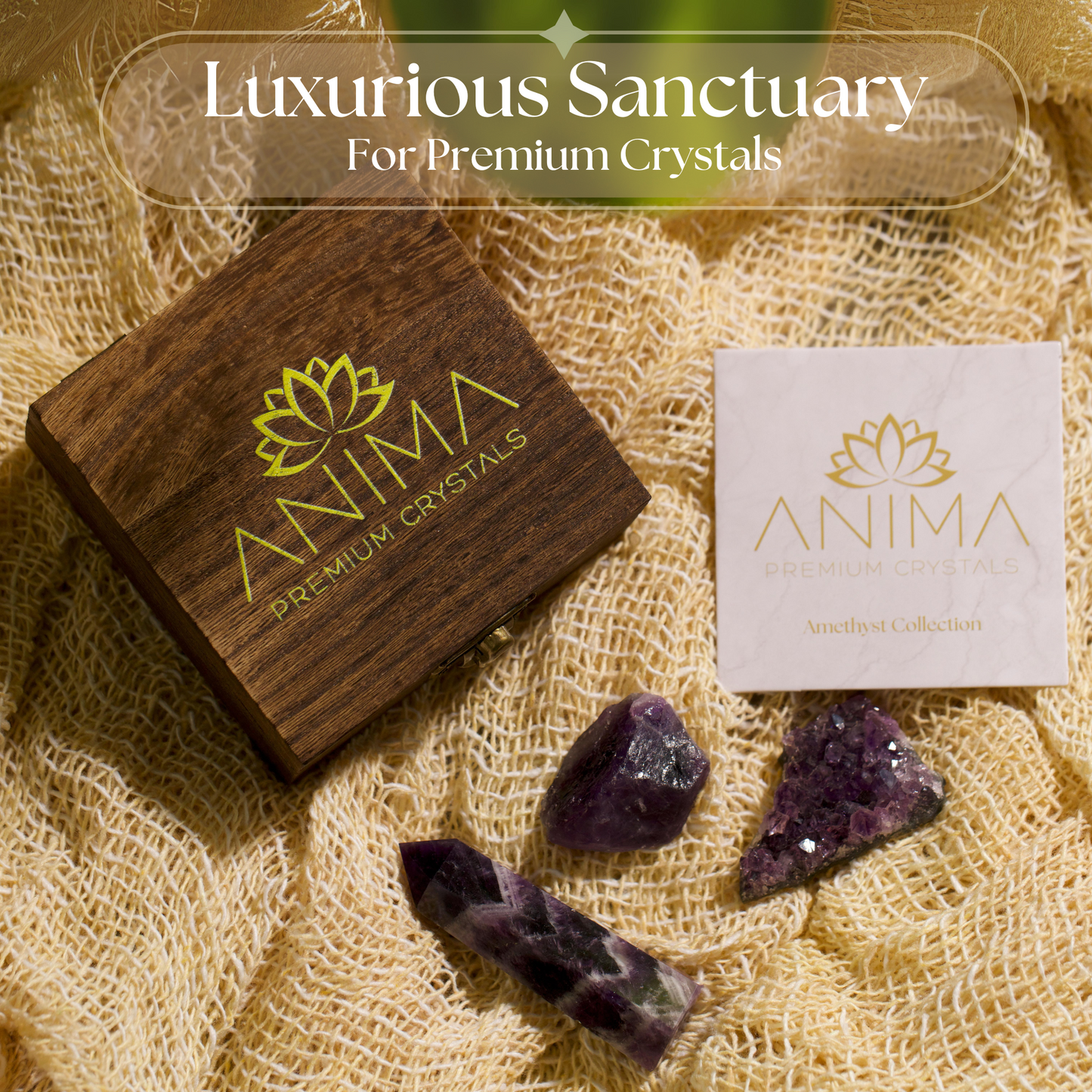 Amethyst Crystals Collection