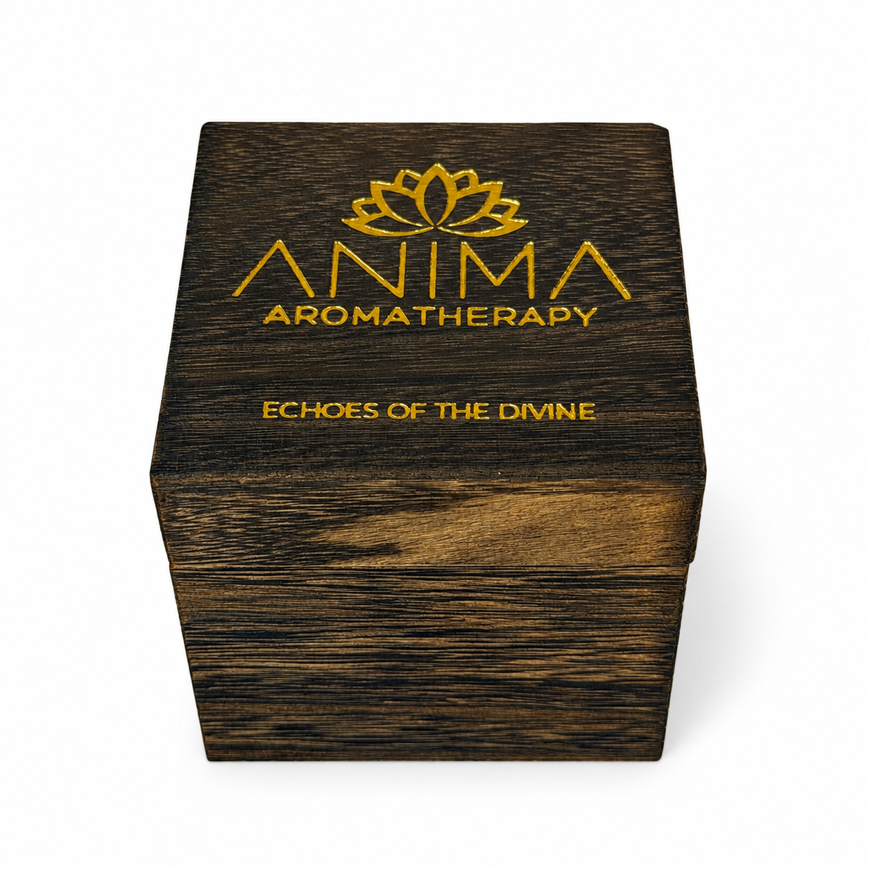Echoes of the Divine